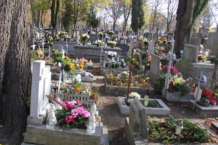 Wszystkich Świętych w Płocku