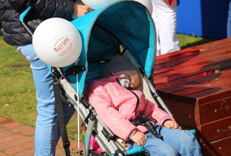 Marsz dla Życia i Rodziny - Elbląg 2016