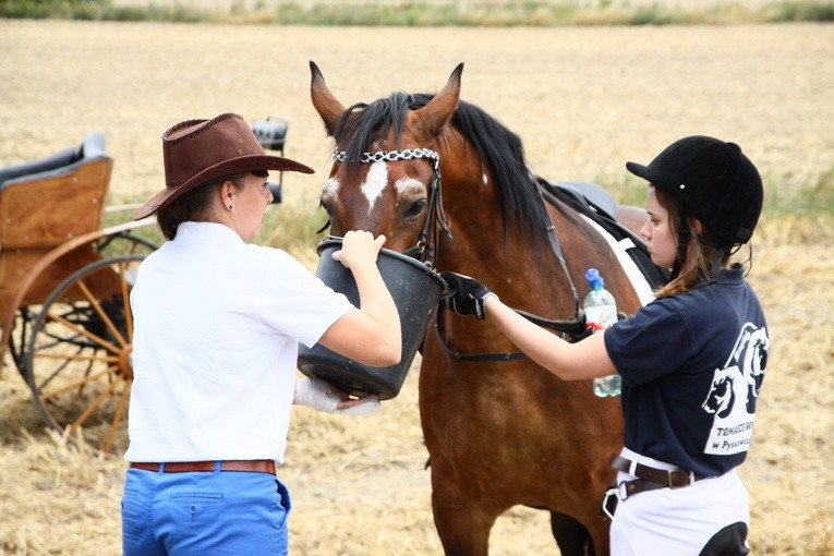 VI Pielgrzymka Konna do Goja