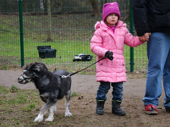 Park dla psów w Elblągu