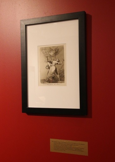 Płock. Wystawa na jubileusz TNP