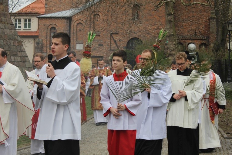 Niedziela Palmowa w katedrze